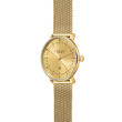 Zegarek Sternglas Naos XS Edition Elyra, 33mm - 2